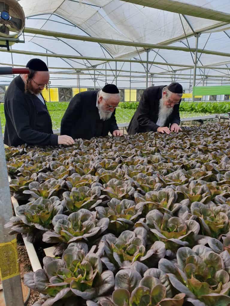 צפו בסיור האחרון של הרב משה מנחם טבאל זצ"ל