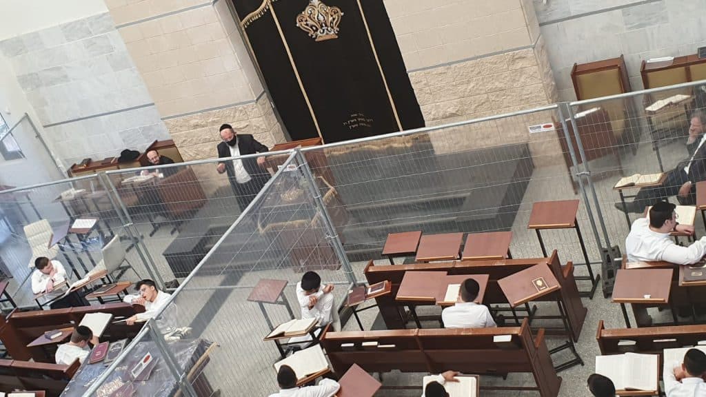 צפו: ה'שיעור כללי' בראדין והבית מדרש המחולק