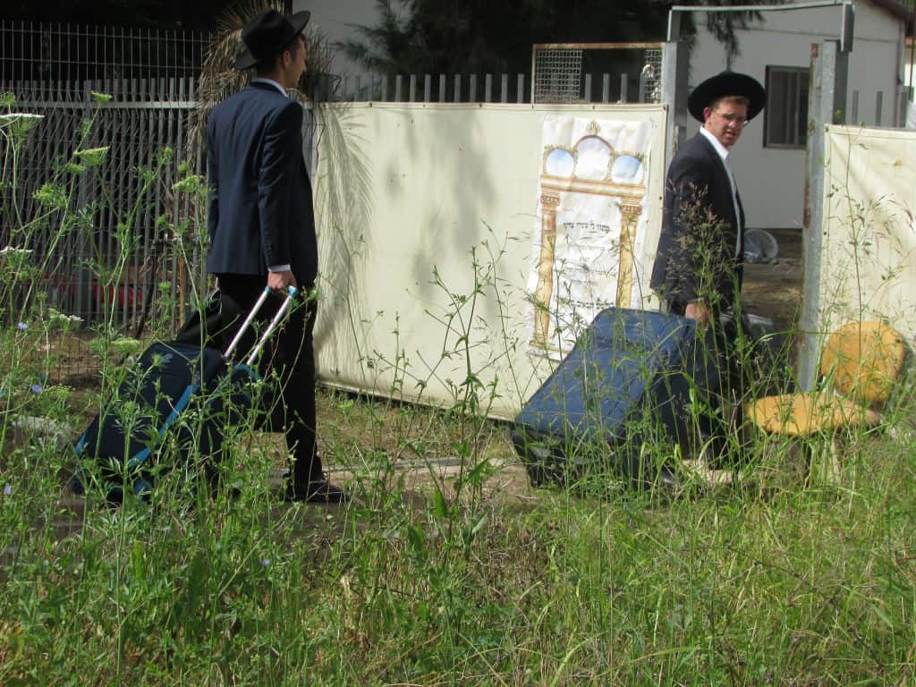 צפו: קול התורה מבי מדרשא - בישיבת חמד חזרו לשטייגען צפו: קול התורה מבי מדרשא - בישיבת חמד חזרו לשטייגען