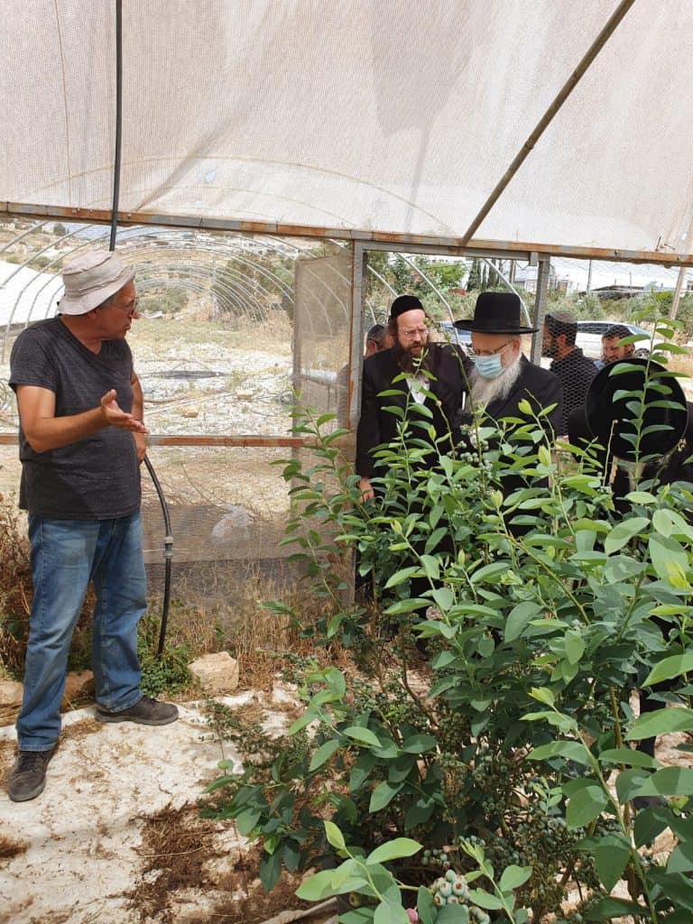 וַעֲרַלְתֶּם עָרְלָתוֹ: צפו בהגר"י אפרתי במטע אוכמניות