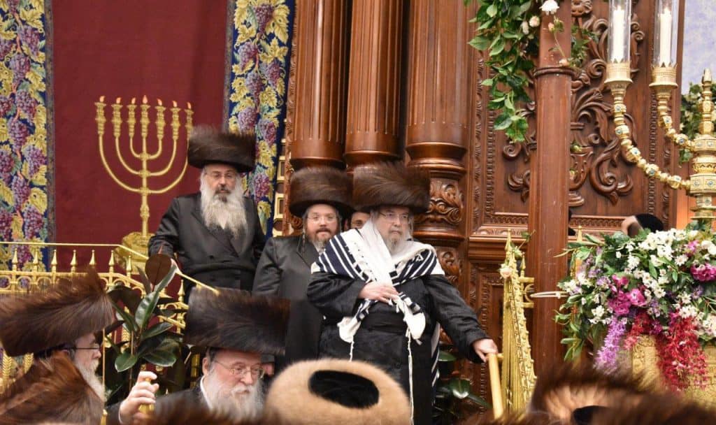 צפו: לפני התקדש החג הכניסו בבעלזא שלושה ספרי תורה צפו: לפני התקדש החג הכניסו בבעלזא שלושה ספרי תורה