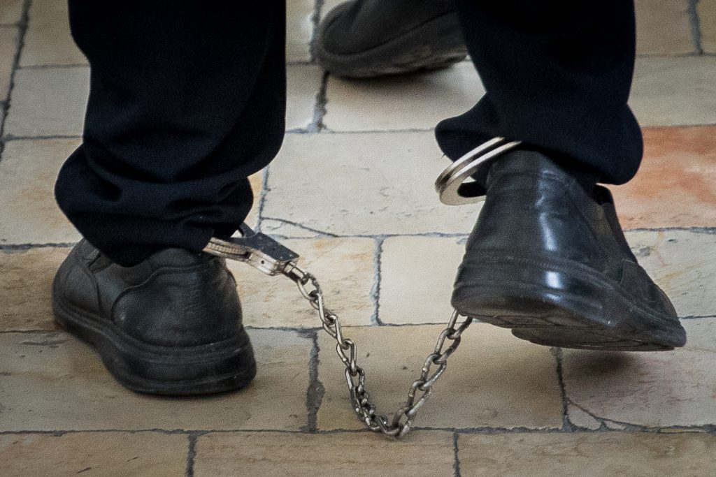 מטוס 'אל על' מקורקע בגלל חתול • הכותרות מהעולם