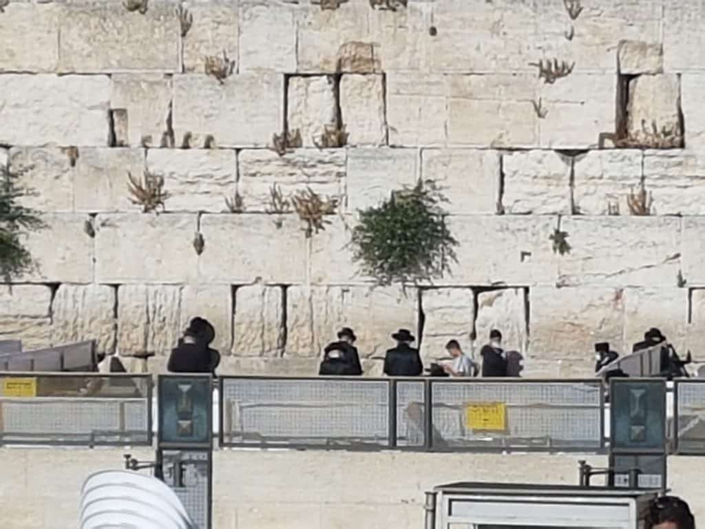 יש לה תשלומין כל שבעה: האדמו"ר מקרעטשניף קרית גת בביקור בכותל