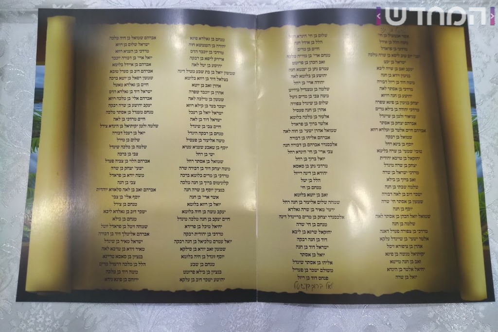 תיעוד ענק: חתונת נכדת האדמו"ר מסאטמר