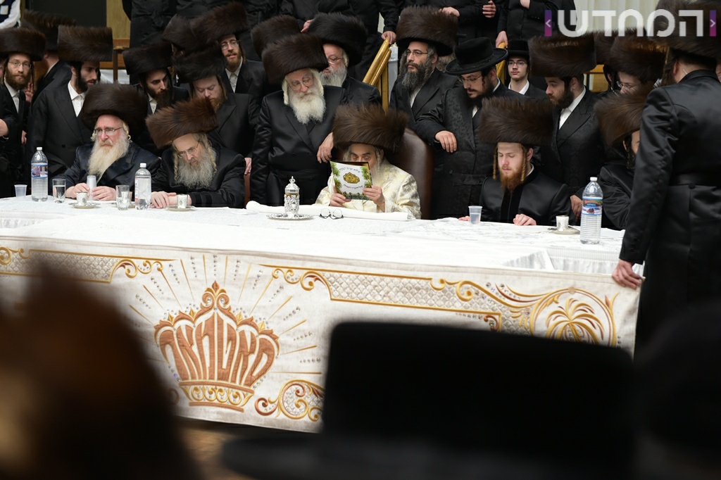 תיעוד ענק: חתונת נכדת האדמו"ר מסאטמר