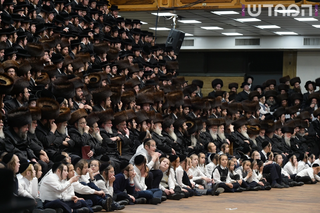 תיעוד ענק: חתונת נכדת האדמו"ר מסאטמר