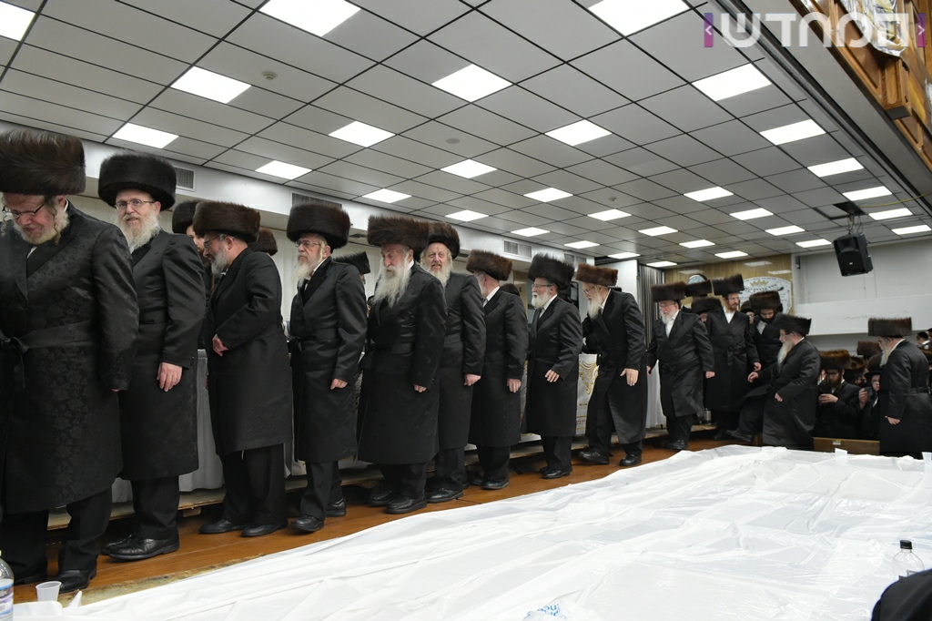 תיעוד ענק: חתונת נכדת האדמו"ר מסאטמר