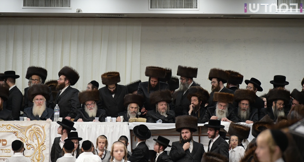 תיעוד ענק: חתונת נכדת האדמו"ר מסאטמר