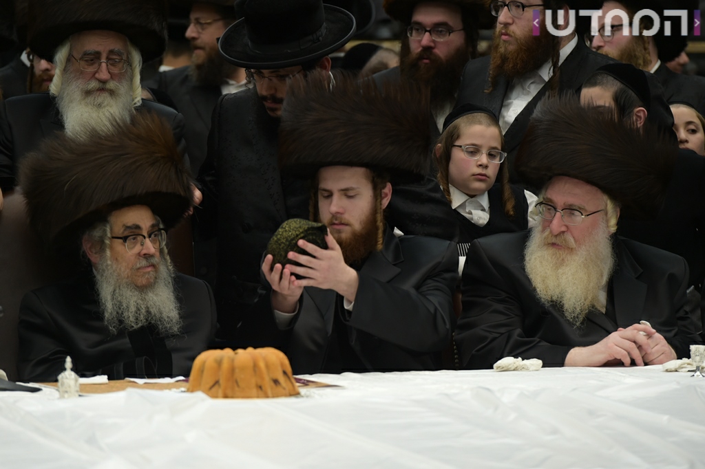 תיעוד ענק: חתונת נכדת האדמו"ר מסאטמר