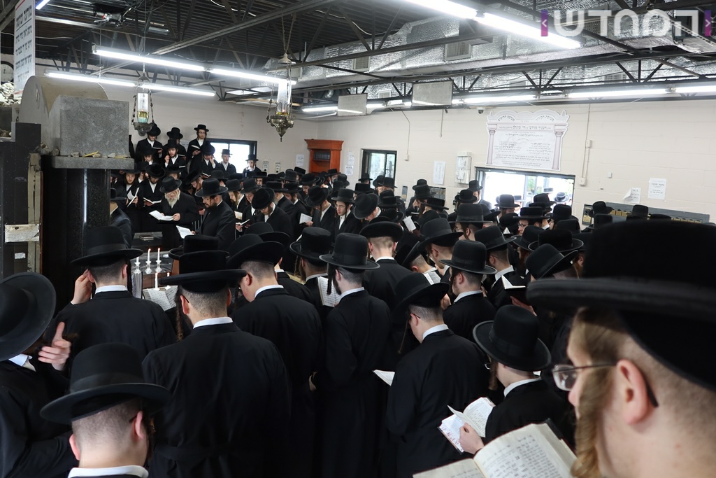 תיעוד ענק: חתונת נכדת האדמו"ר מסאטמר