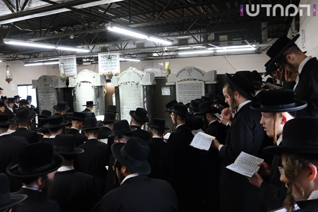 תיעוד ענק: חתונת נכדת האדמו"ר מסאטמר