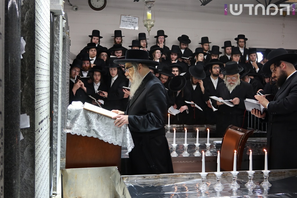 תיעוד ענק: חתונת נכדת האדמו"ר מסאטמר