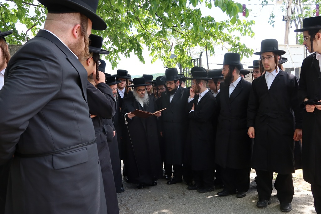 תיעוד ענק: חתונת נכדת האדמו"ר מסאטמר