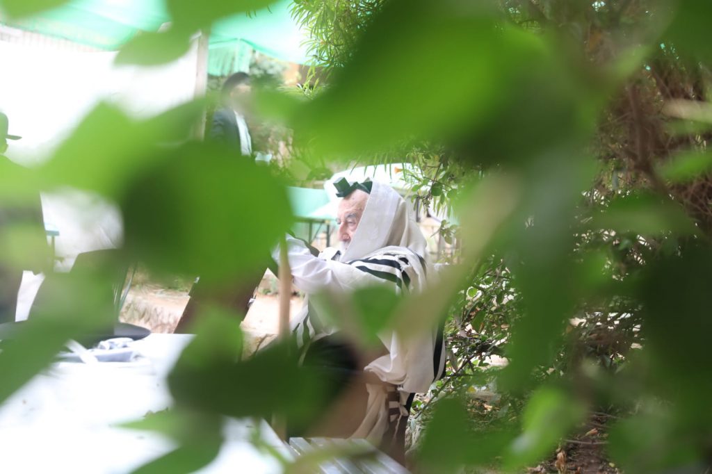 צפו: הגר"מ גריינמן שומע קריאת התורה בחצר ביתו