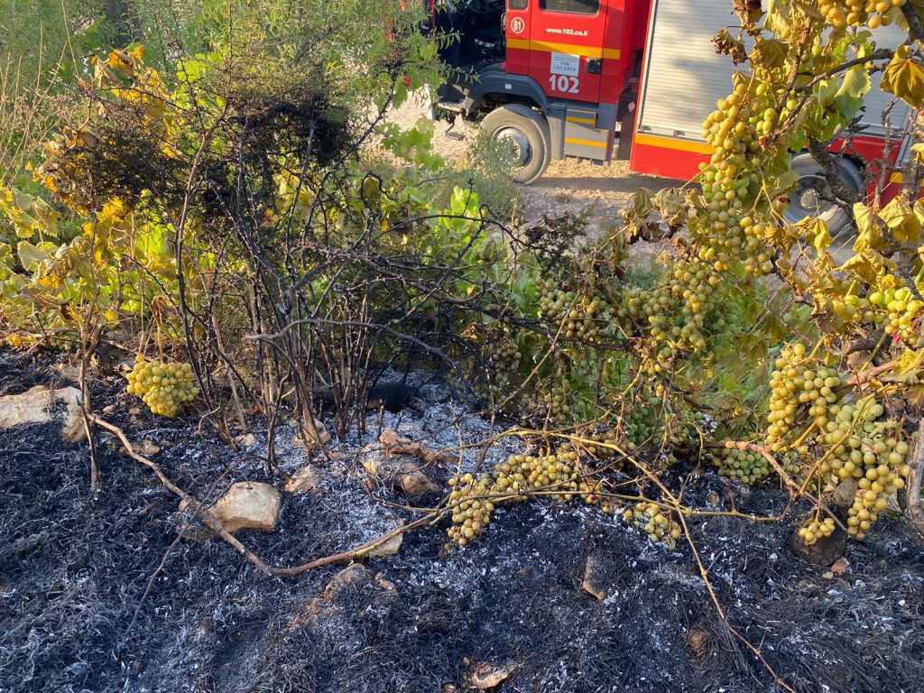 צוותי כיבוי פעלו לפני זמן קצר בשריפה ביישוב כרמי צור