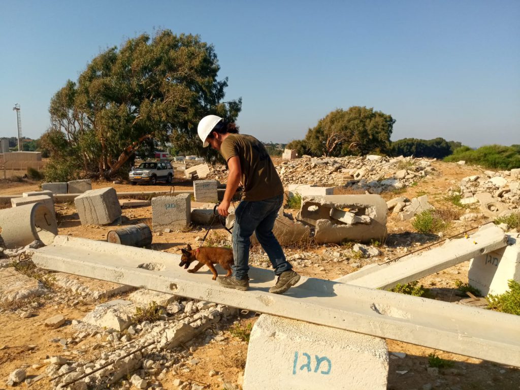תיעוד: רעידת אדמה בישראל בצל הקורונה, יחידת הכלבנים בתרגיל