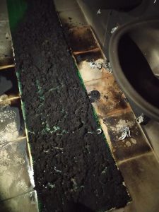 תיעוד: מסגד הוצת הלילה באל בירה; רוססו כתובות בעברית