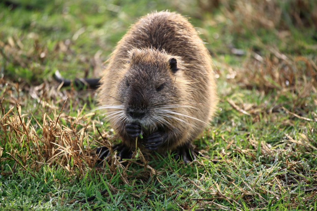 9 כותרות בריאות ללא קורונה • חיו של תינוק שבלע 20 כדורי מגנט ניצלו בשערי צדק 9 כותרות בריאות ללא קורונה • חיו של תינוק שבלע 20 כדורי מגנט ניצלו בשערי צדק