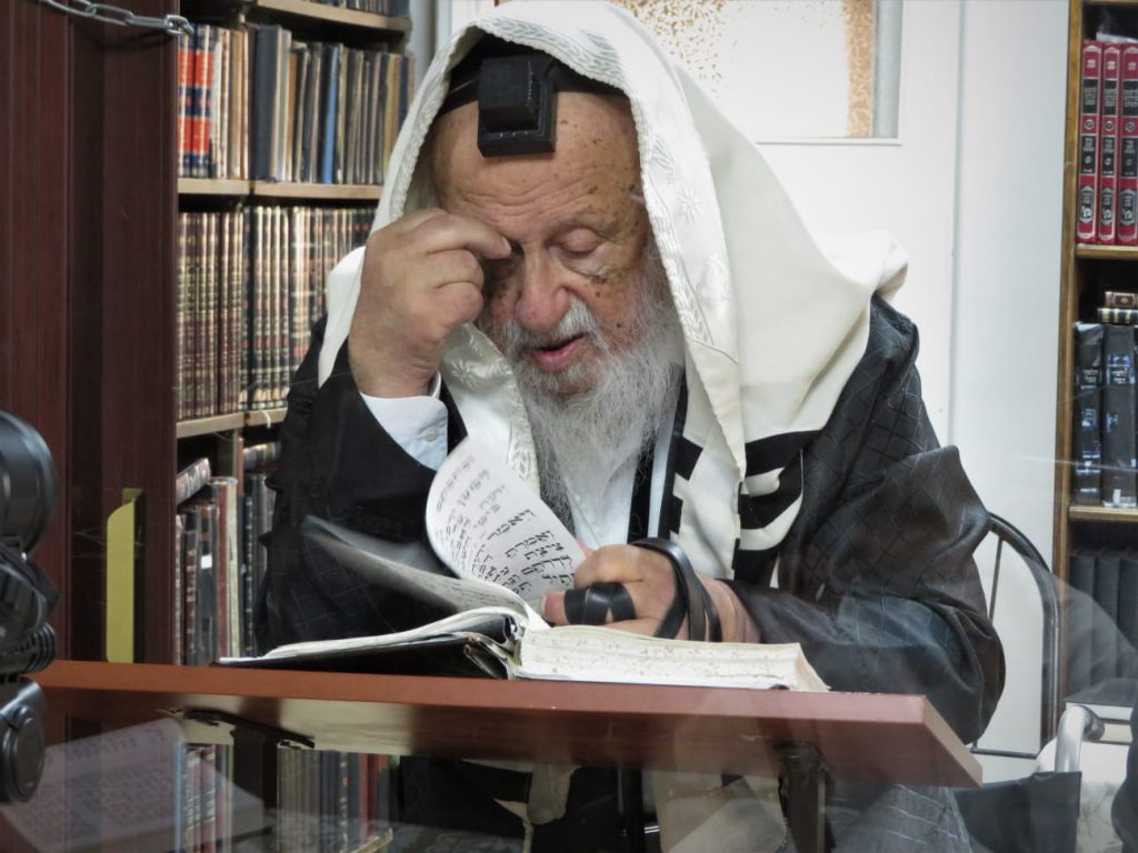 תיעוד: הגרב"ד פוברסקי על קבר אמו הרבנית ע"ה