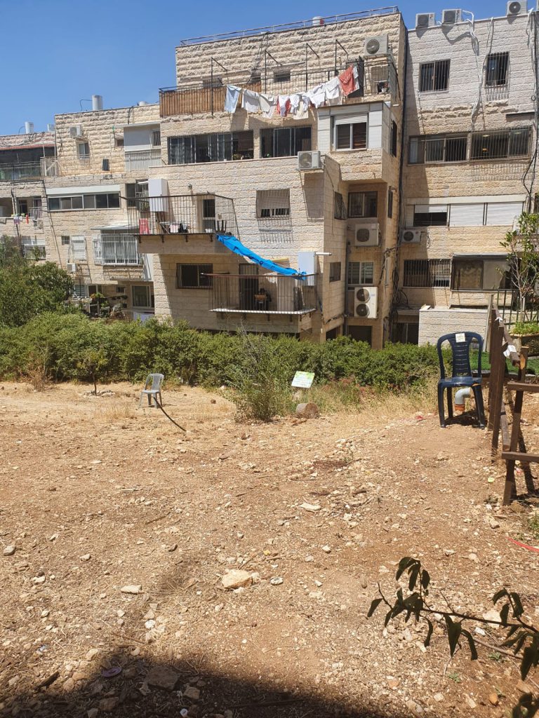 צפו בתיעוד: הדאצ'ה של ר"י תפרח הגר"י פרידמן