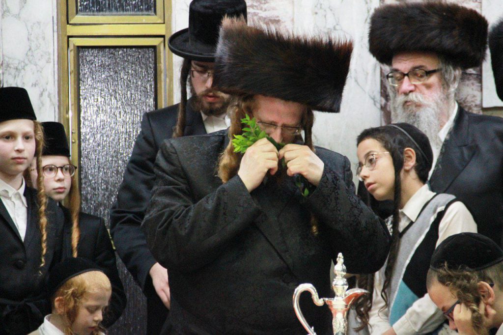 תיעוד: השבת הראשונה בראשות ה'ממשיך' בשומרי אמונים