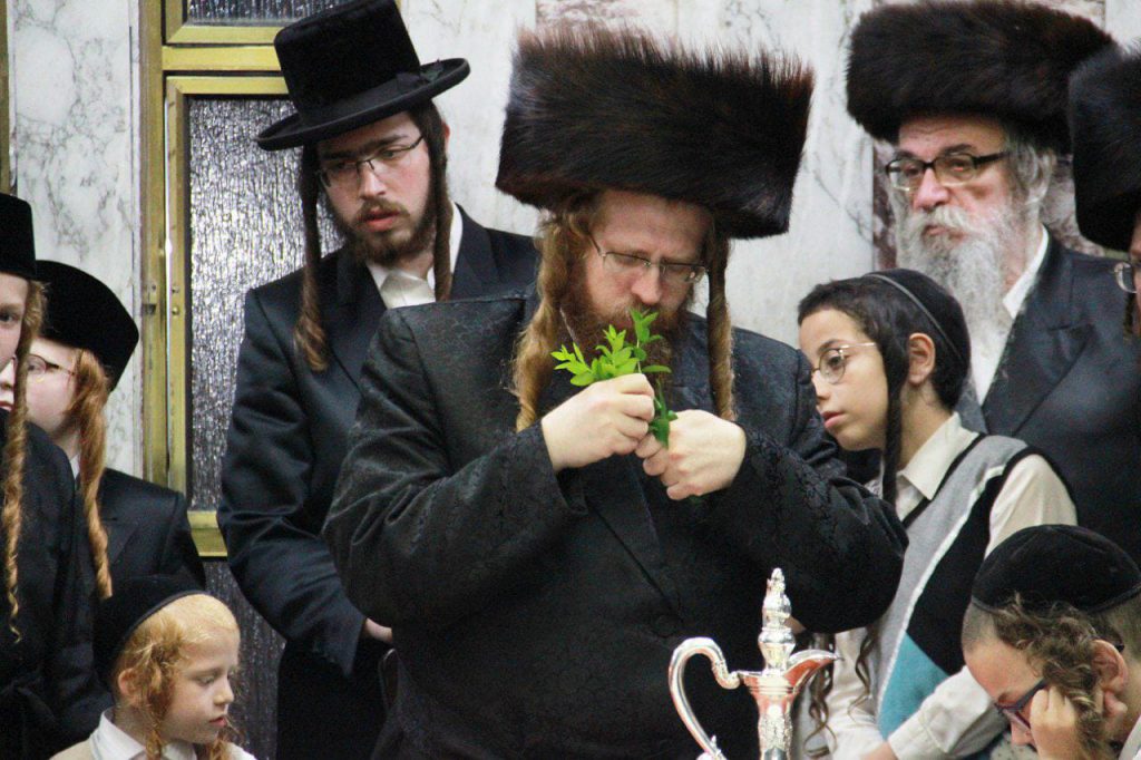 תיעוד: השבת הראשונה בראשות ה'ממשיך' בשומרי אמונים