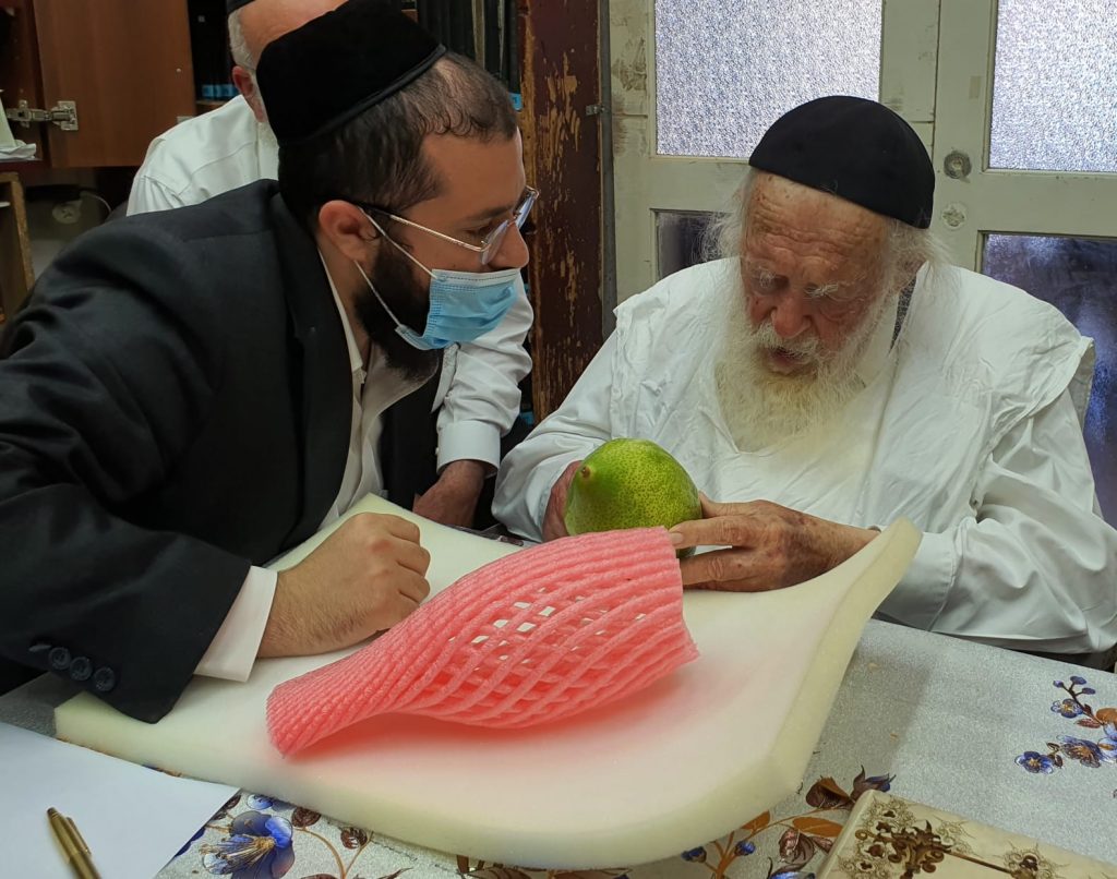 תיעוד: שר התורה הגר"ח קניבסקי בחר אתרוג לחג הסוכות