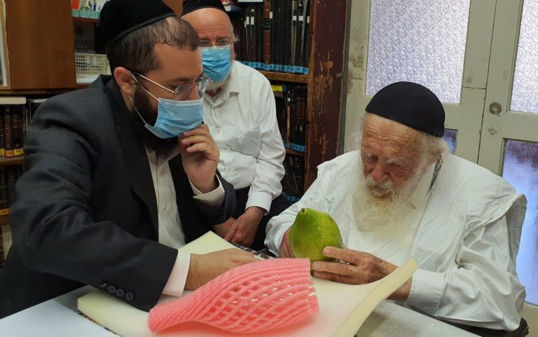 תיעוד: שר התורה הגר"ח קניבסקי בחר אתרוג לחג הסוכות