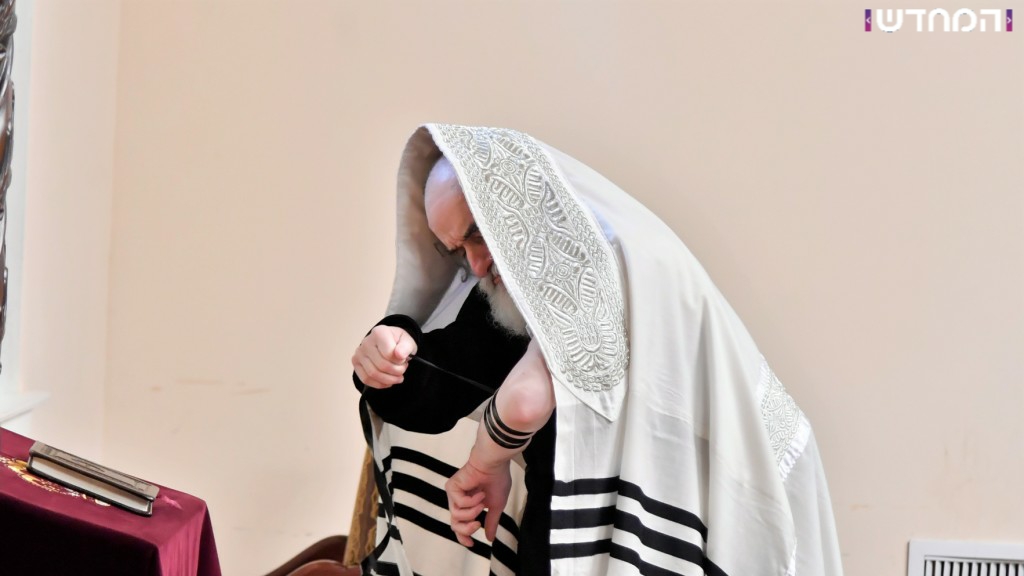 תיעוד: הרבי מויז'ניץ בביקור בארה"ב