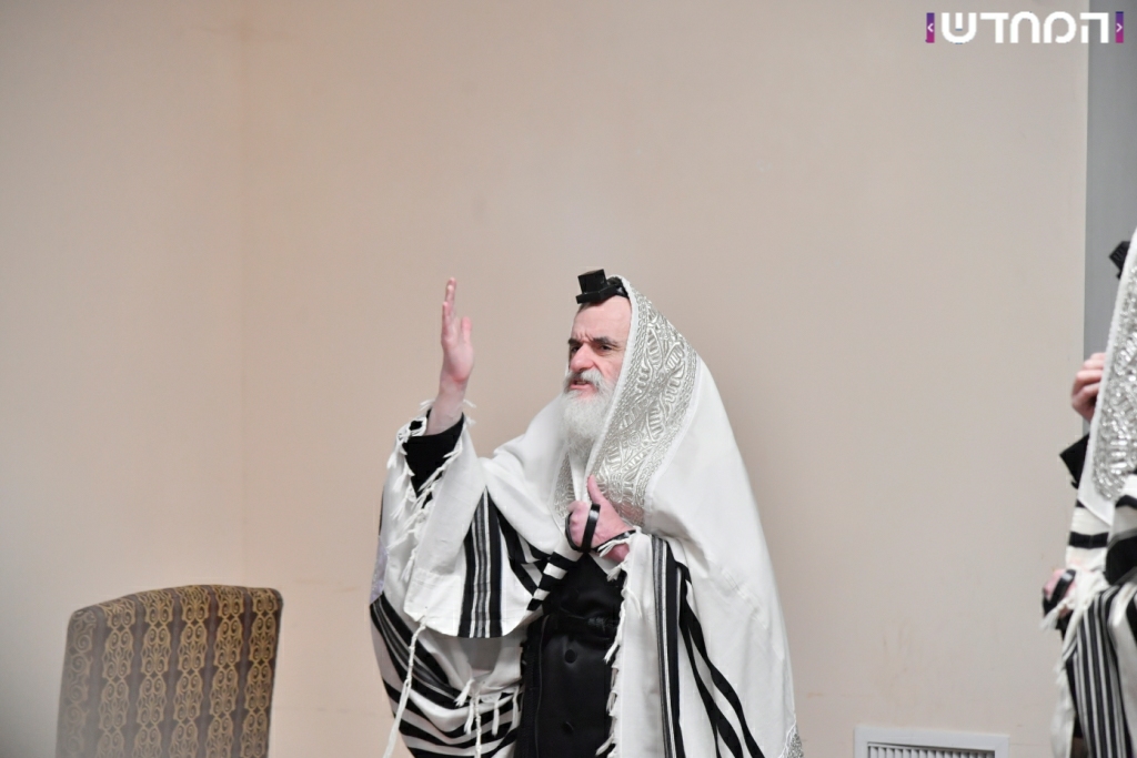 תיעוד: הרבי מויז'ניץ בביקור בארה"ב