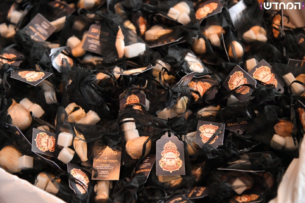 קַדֶּשׁ־לִי כׇל־בְּכוֹר • שמחת פדיון הבן לנינם הראשון של האדמורי״ם מויז'ניץ וספינקא