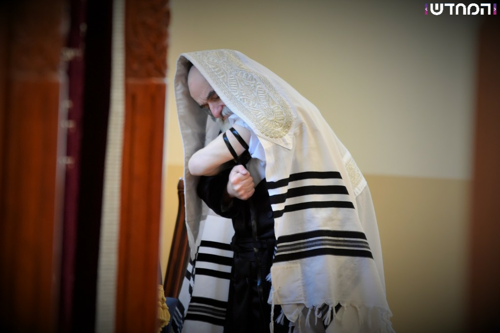 הרבי מויז'ניץ בביקור בארה"ב • גלריה