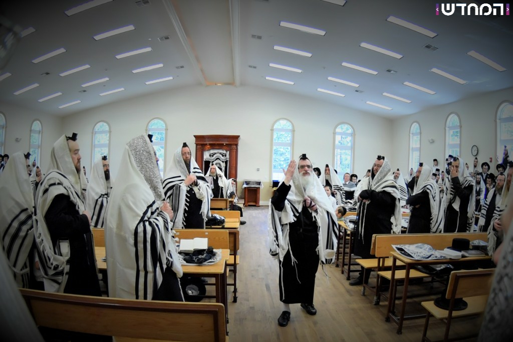 הרבי מויז'ניץ בביקור בארה"ב • גלריה