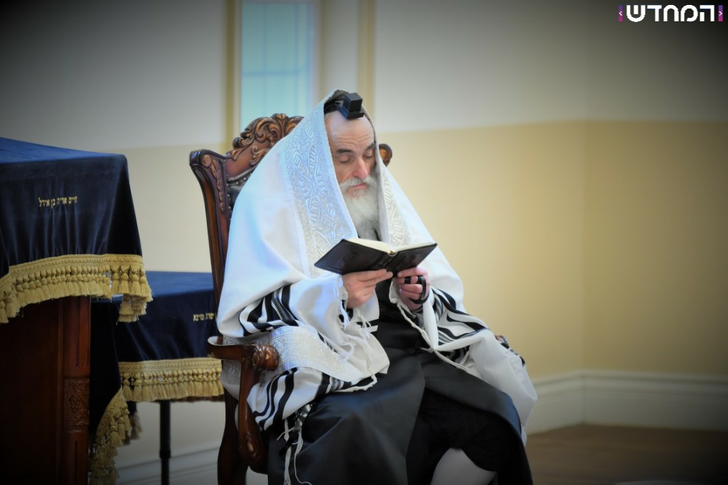 הרבי מויז'ניץ בביקור בארה"ב • גלריה