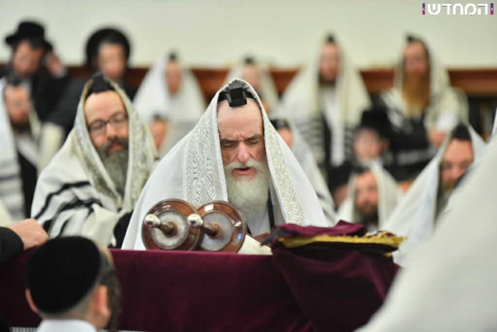 הרבי מויז'ניץ בביקור בארה"ב • גלריה