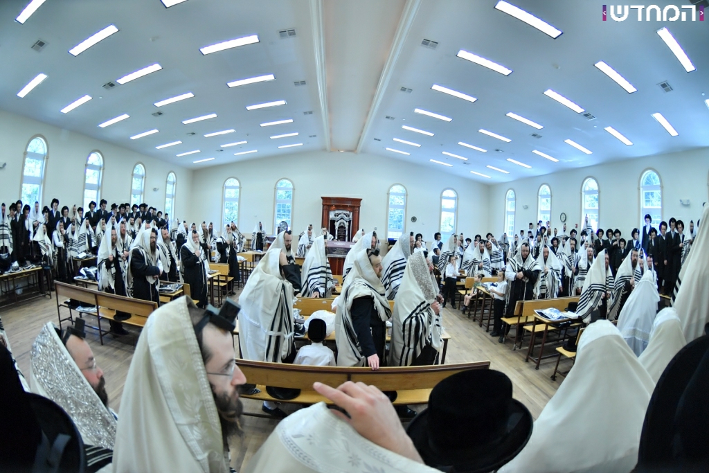 הרבי מויז'ניץ בביקור בארה"ב • גלריה