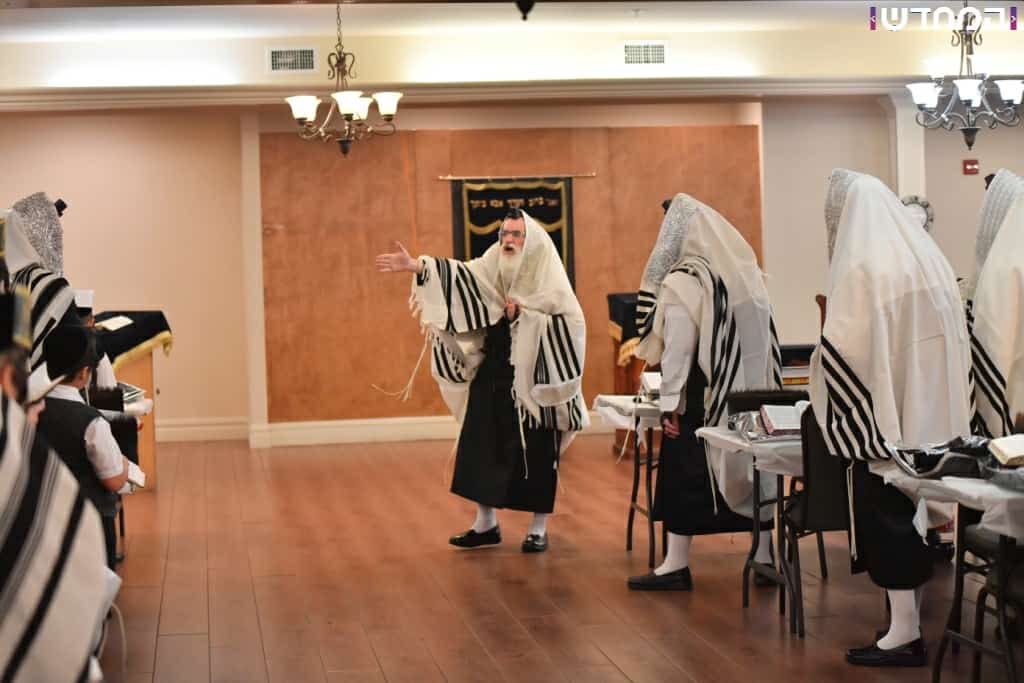 הרבי מויז'ניץ בביקור בארה"ב • גלריה