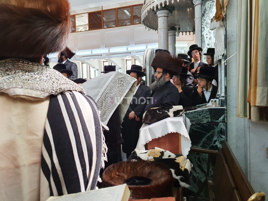 גלריה: הברית לנין האדמו"ר מויז'ניץ נכד הגרח"צ מייזליש