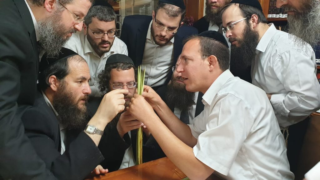 מדריך: כך תבחרו את ארבעת המינים לחג