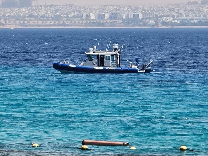 מטוס 'אל על' מקורקע בגלל חתול • הכותרות מהעולם