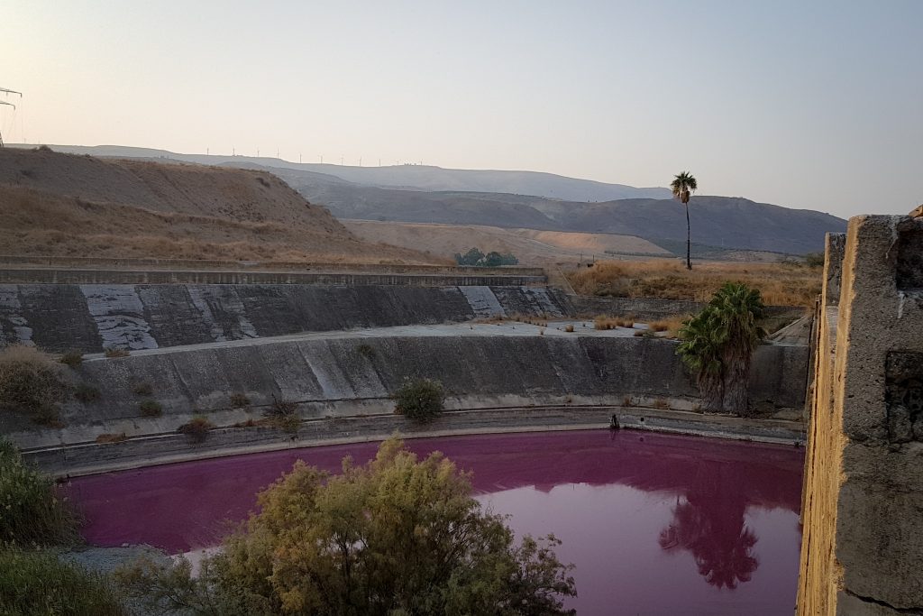 קיבלה בדואר את שרידי גופתו של סבה: הכותרות שהעסיקו את עיתוני העולם קיבלה בדואר את שרידי גופתו של סבה: הכותרות שהעסיקו את עיתוני העולם