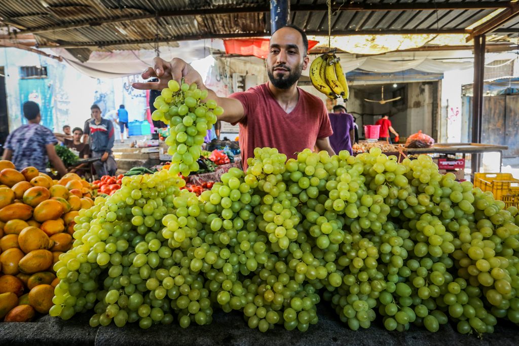 הידעתם? המכונית המעופפת כבר בישראל: מבזקי ה'כלכלה' ב'המחדש'