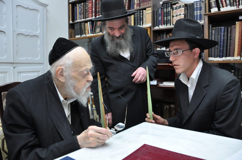 שוק לולבי 'קובין' יעבור מהפך השנה בעקבות הקורונה