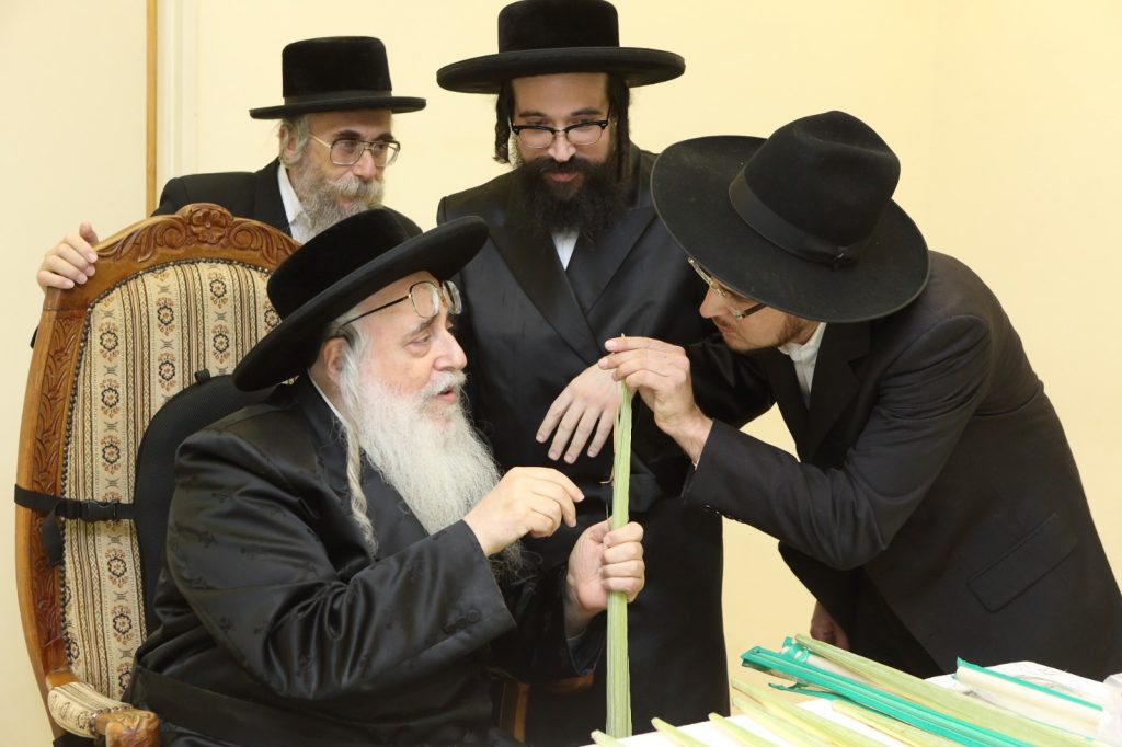 שוק לולבי 'קובין' יעבור מהפך השנה בעקבות הקורונה