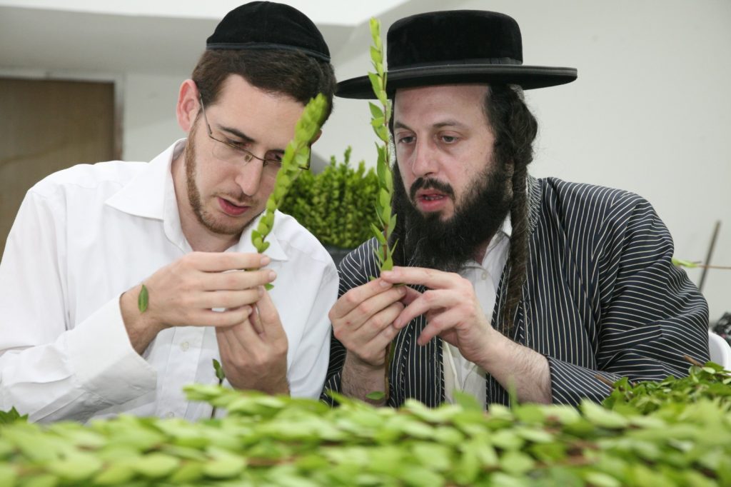 שוק לולבי 'קובין' יעבור מהפך השנה בעקבות הקורונה