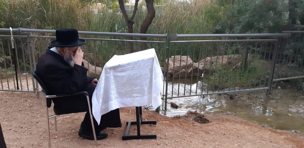 תיעוד: הרבי מקופישניץ באמירת תשליך