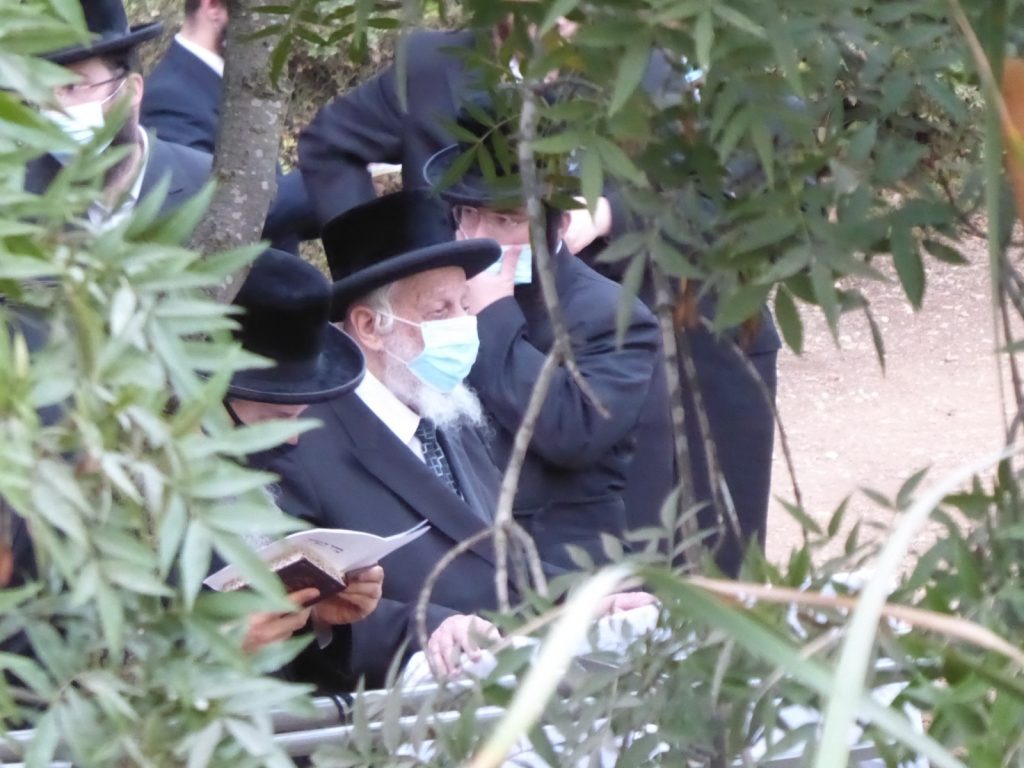 תיעוד: הרבי מקופישניץ באמירת תשליך