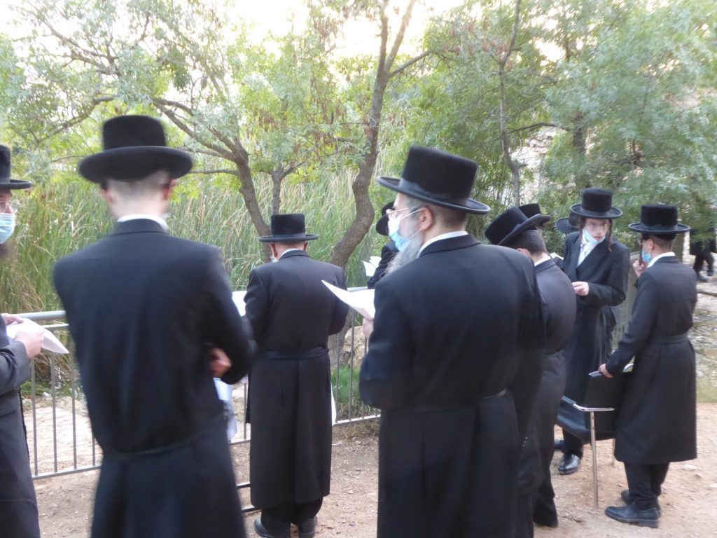 תיעוד: הרבי מקופישניץ באמירת תשליך