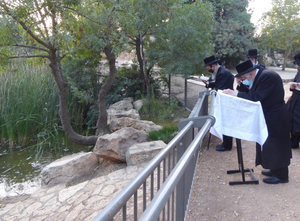 תיעוד: הרבי מקופישניץ באמירת תשליך