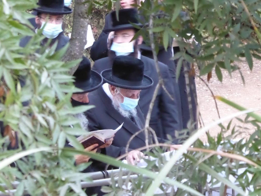 תיעוד: הרבי מקופישניץ באמירת תשליך